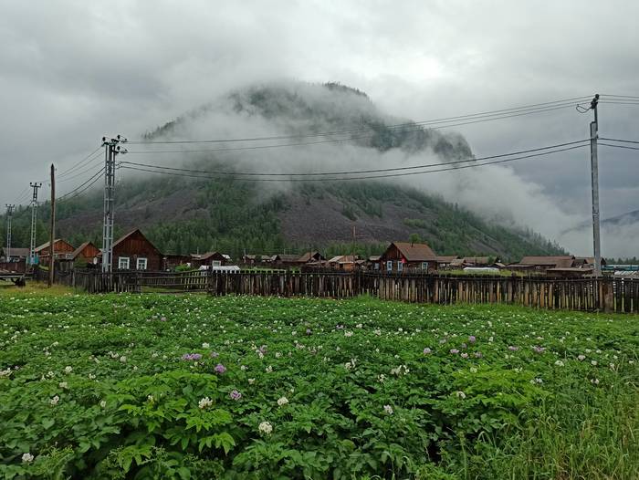 ПУТЕШЕСТВИЕ В ГУТАРУ И ПО ГУТАРЕ Тайга, Путешествие по России, Длиннопост ПУТЕШЕСТВИЕ В ГУТАРУ И ПО ГУТАРЕ Тайга, Путешествие по России, Длиннопост