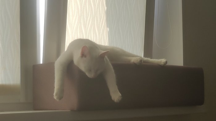 ��� ������� ����� �� ����