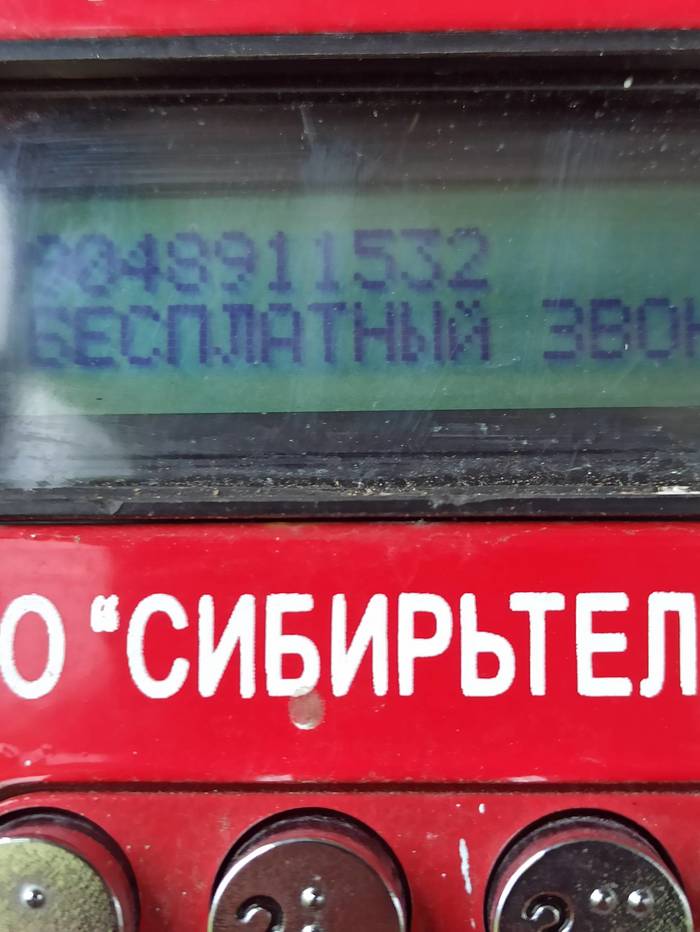 ПУТЕШЕСТВИЕ В ГУТАРУ И ПО ГУТАРЕ Тайга, Путешествие по России, Длиннопост ПУТЕШЕСТВИЕ В ГУТАРУ И ПО ГУТАРЕ Тайга, Путешествие по России, Длиннопост