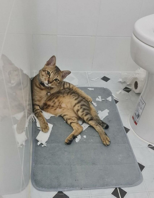 ������?)