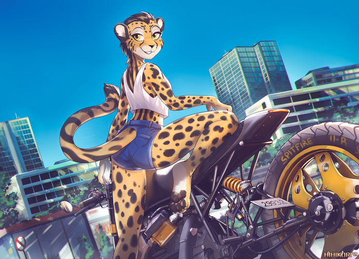  , , , Furry Cheetah, Hihikori
