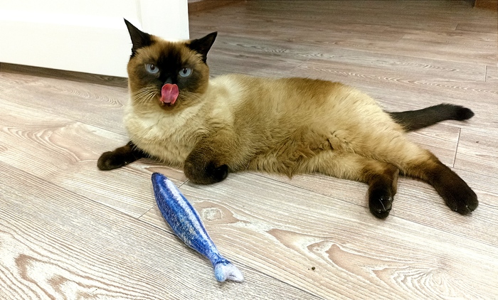 ��������� ���������� ����� �� �������