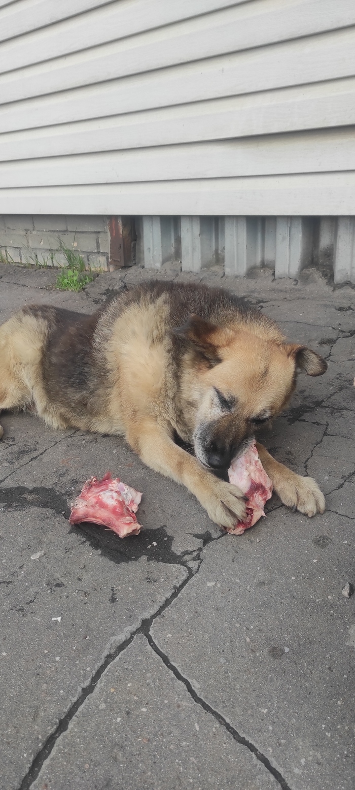 �������� �� ������ �����������