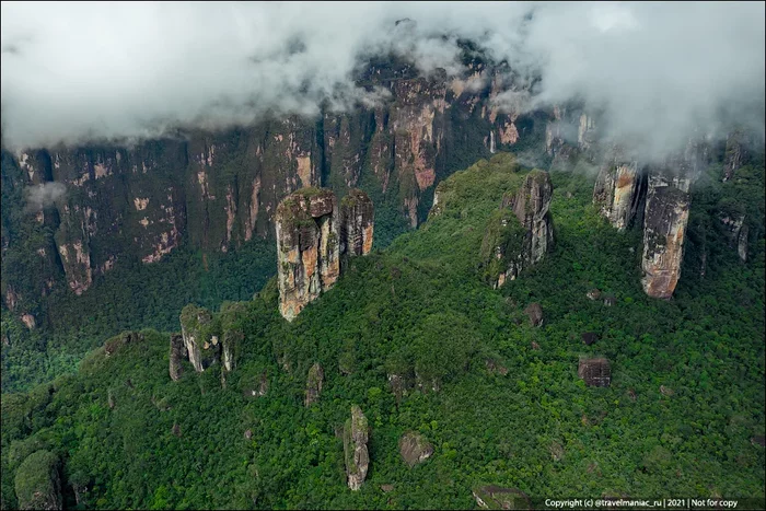 Вертолетная экскурсия за 2000$ на водопад Анхель в Венесуэле. Что за эти деньги можно увидеть и стоит ли увиденное того? Путешествия, Водопад, Венесуэла, Анхель, Яндекс Дзен, Видео, Длиннопост Вертолетная экскурсия за 2000$ на водопад Анхель в Венесуэле. Что за эти деньги можно увидеть и стоит ли увиденное того? Путешествия, Водопад, Венесуэла, Анхель, Яндекс Дзен, Видео, Длиннопост