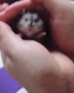   , , , 