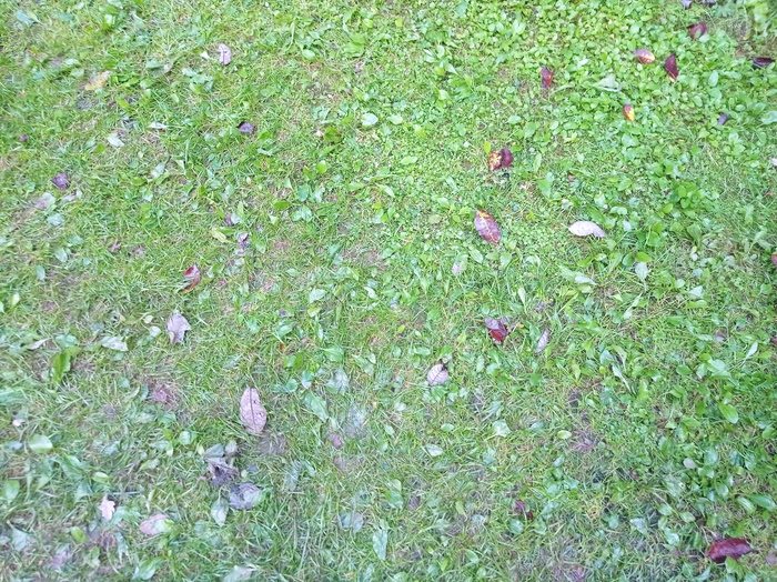     , , , , 