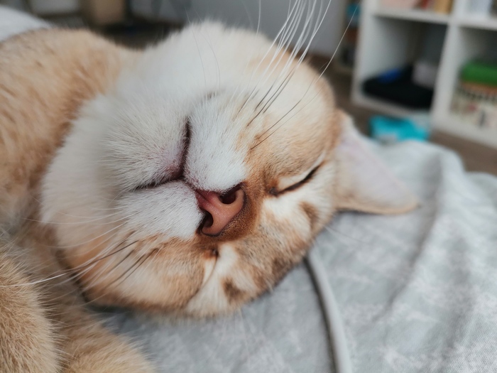 �������� 3