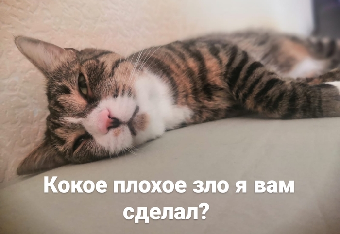 Когда просят выйти поработать в отпуске