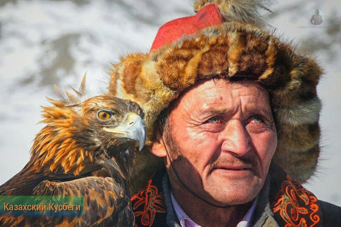 апшу берш что это. Смотреть фото апшу берш что это. Смотреть картинку апшу берш что это. Картинка про апшу берш что это. Фото апшу берш что это