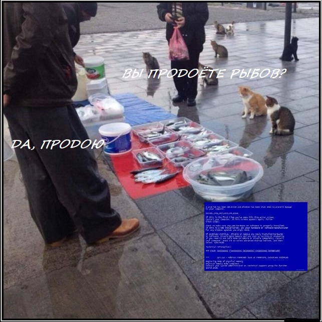 ��� �����