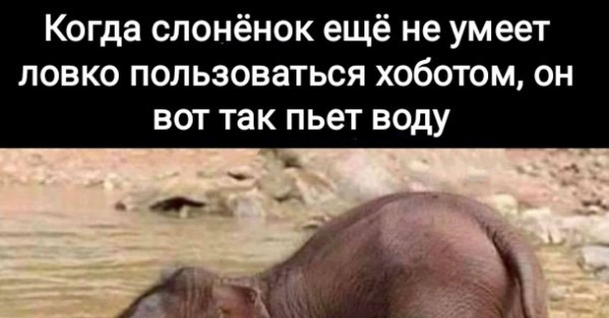 Нэшнл географик | Пикабу