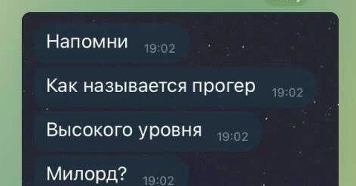 Как там называется. Переписка программистов. Мем про милорда программирование. Сеньор Милорд Мем. Программист высокого уровня Милорд.