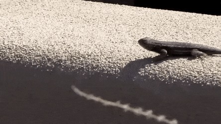   , , , 