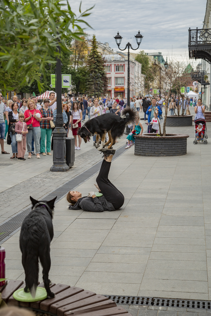 ������ ��������