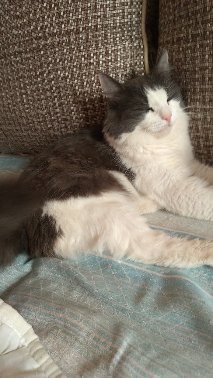 ����� ������� 4 ���� ;)