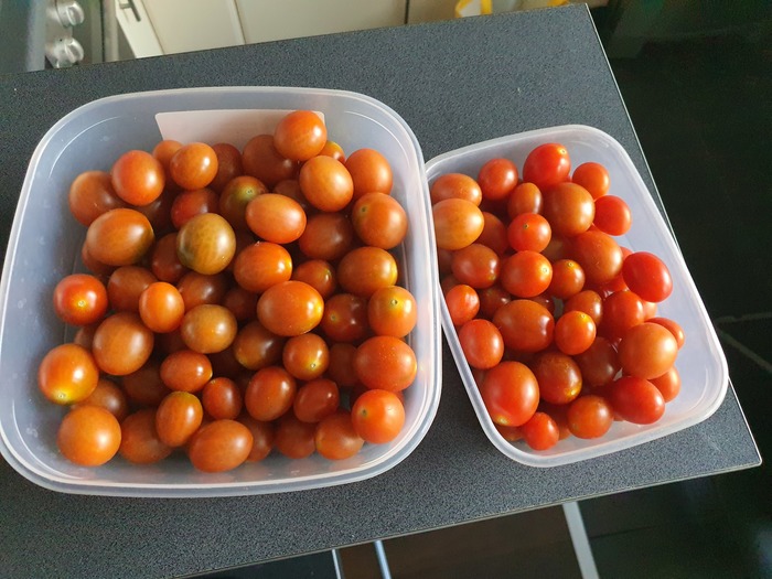 Se puede congelar el tomate natural