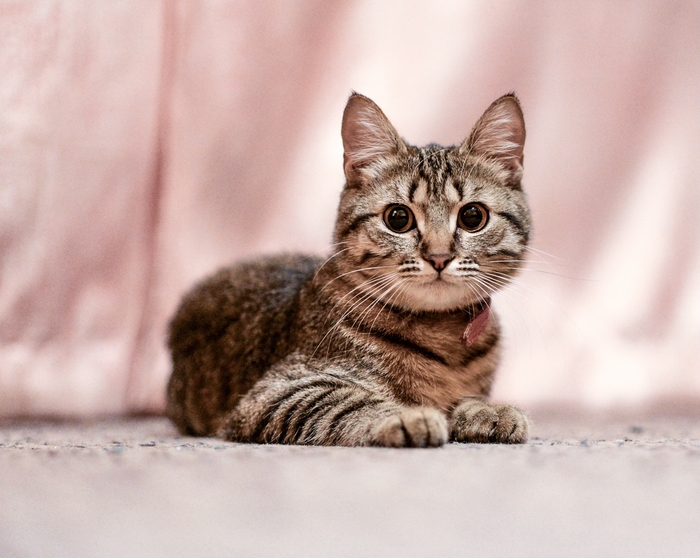 ����� ��?)