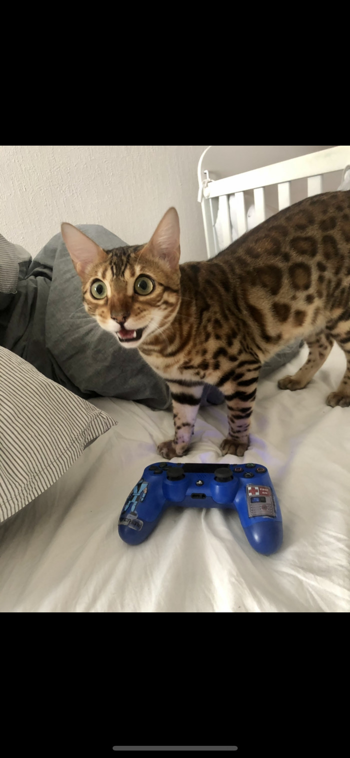    ( ) ( ) ,  , ,  