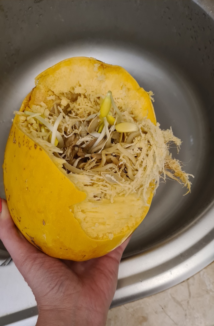 Сила духа, или когда на месяц забыл об овоще