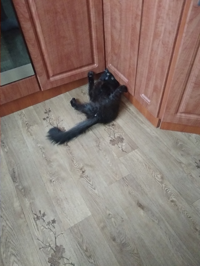 ����� ������� � ������������ ������