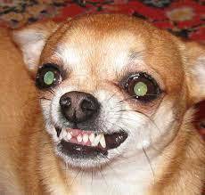 1993 ���, � �������� ��� �� ���� �������� � �������