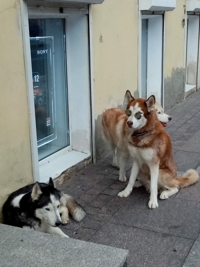 Тем временем в Петербурге