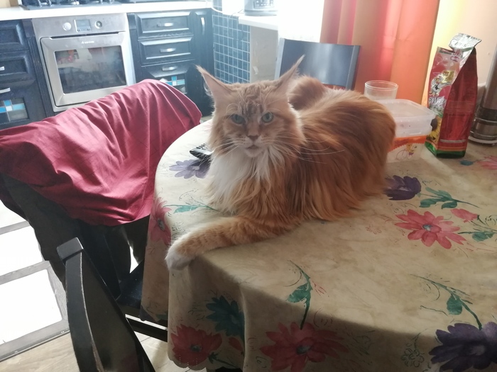 Даже не вздумай, человек!