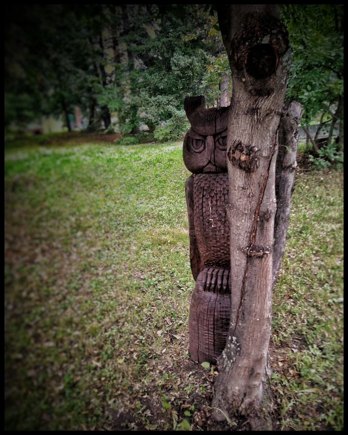 � ������