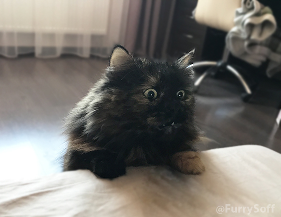 Хозяева, что вы делаете?