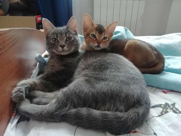 ����� �� ���� �"������"�