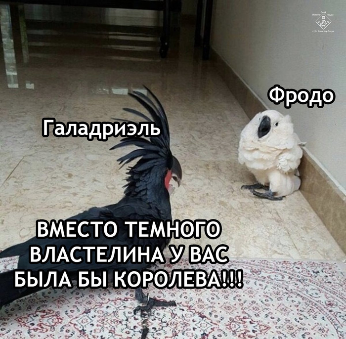 Если это не популярность то что это мем с попугаем. Смотреть фото Если это не популярность то что это мем с попугаем. Смотреть картинку Если это не популярность то что это мем с попугаем. Картинка про Если это не популярность то что это мем с попугаем. Фото Если это не популярность то что это мем с попугаем