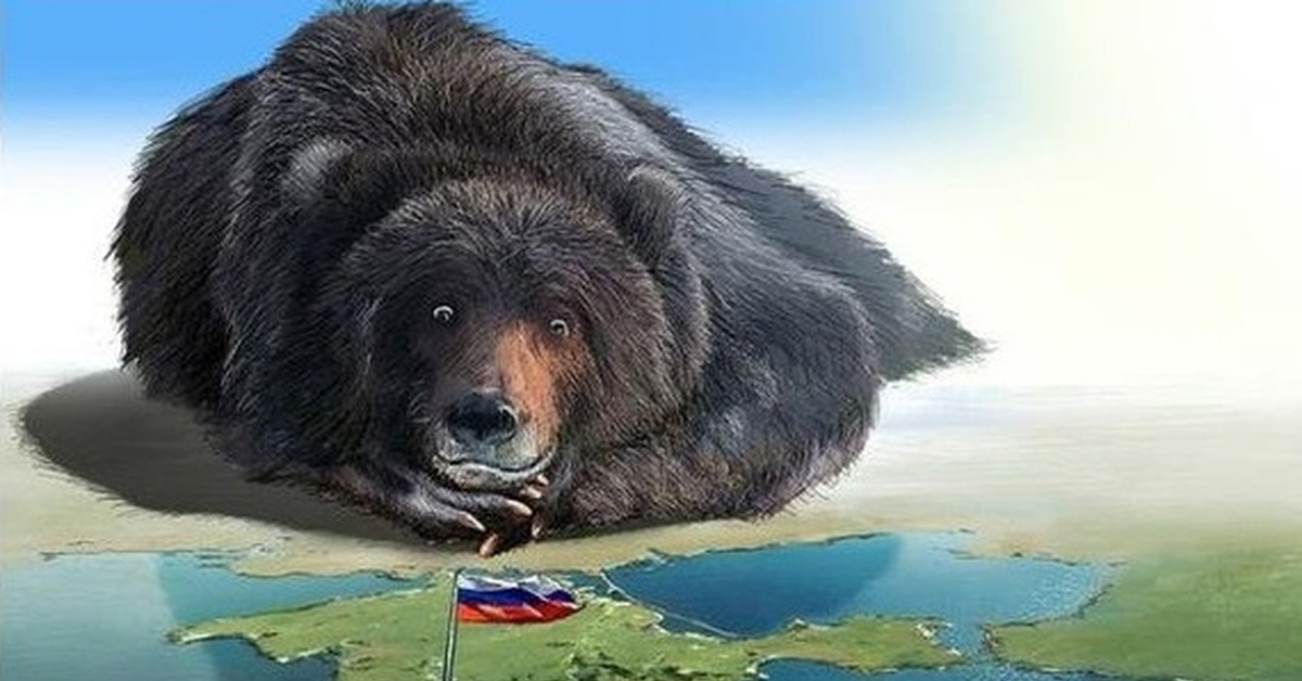 Никак не в связи. Медведь Россия. Русский медведь картинка. Крым Россия медведь. Медведь за Россию.