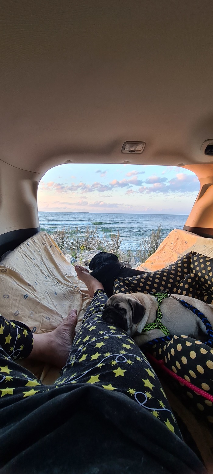 ������������