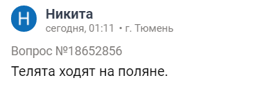 однажды в россии однажды в квартире похмелья. Смотреть фото однажды в россии однажды в квартире похмелья. Смотреть картинку однажды в россии однажды в квартире похмелья. Картинка про однажды в россии однажды в квартире похмелья. Фото однажды в россии однажды в квартире похмелья