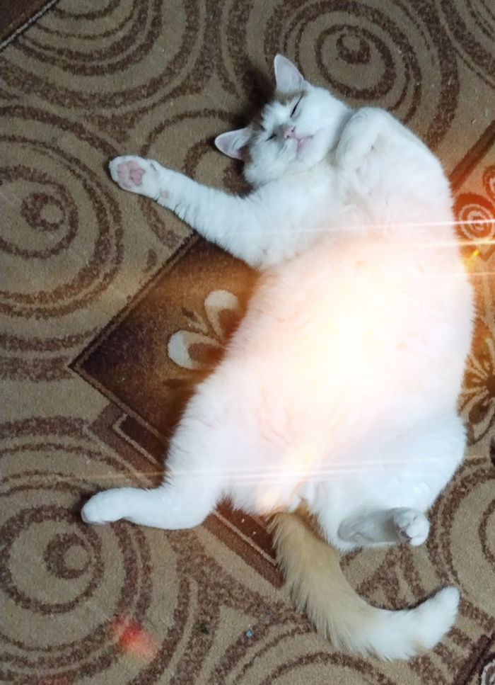       " " ,  ,  