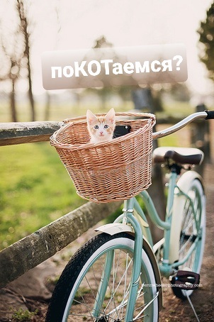 Просто мемчик