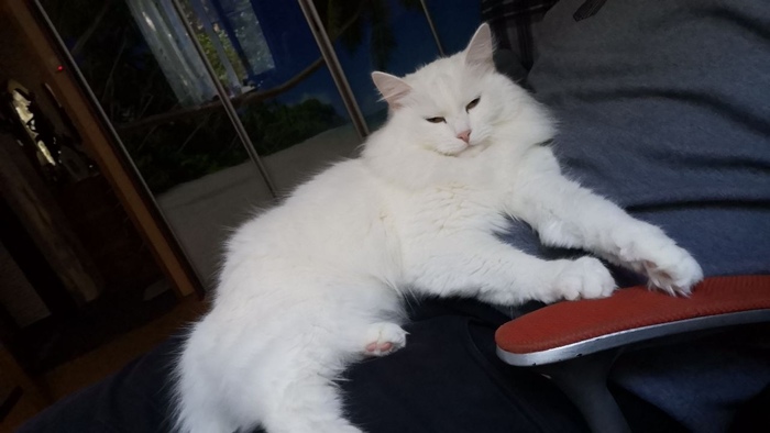 Этот взгляд