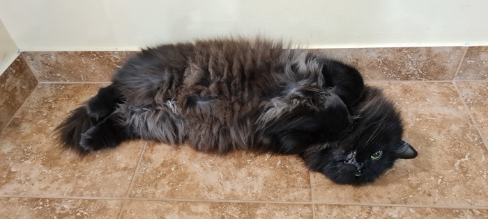 Немного красоты и вальяжности