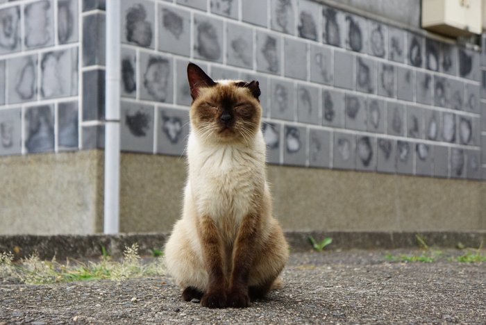 �� ������� � ��� ���, �� �������� �������� ��� ���