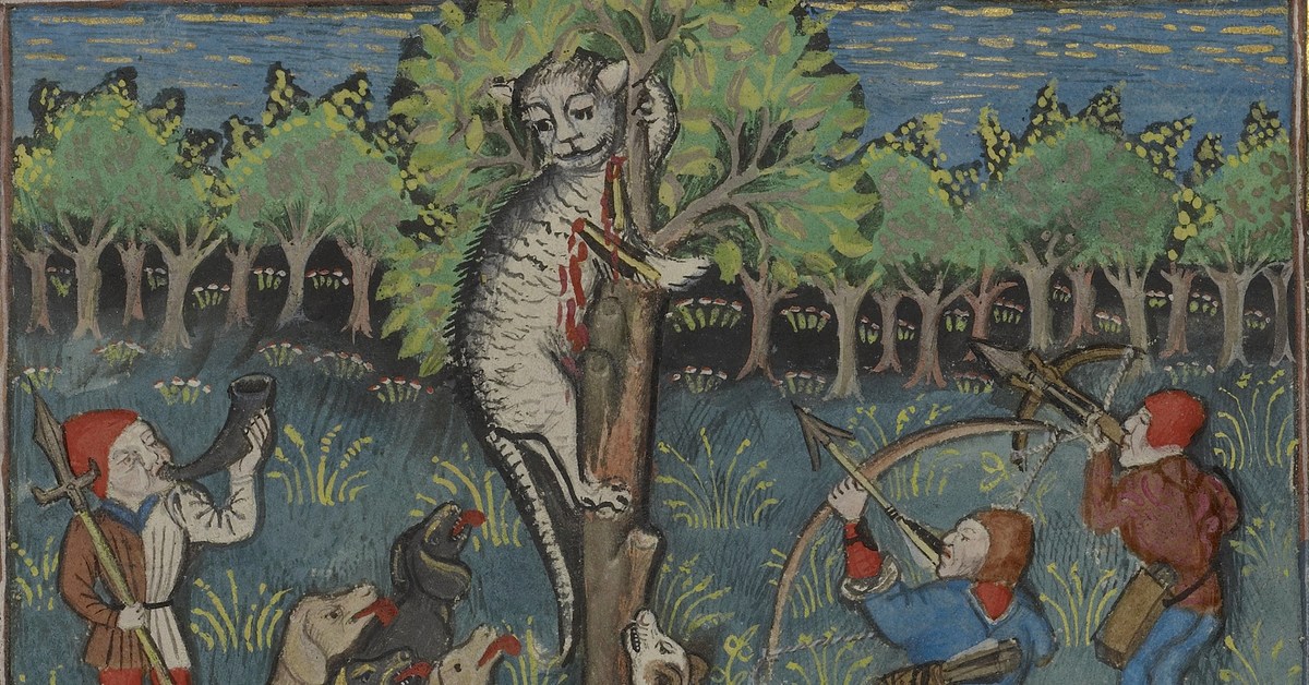 Дерево страдающие. Кошачий геноцид в средневековой Европе. Кошки в средние века. Кошки в Европе в средние века. Охота на кошек в средние века.