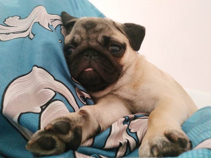 Моя милашка