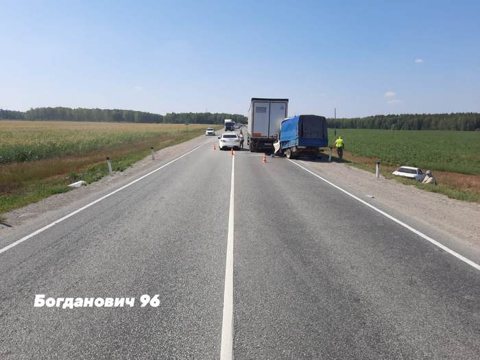 Красный наш зеленый общий что это значит. Смотреть фото Красный наш зеленый общий что это значит. Смотреть картинку Красный наш зеленый общий что это значит. Картинка про Красный наш зеленый общий что это значит. Фото Красный наш зеленый общий что это значит