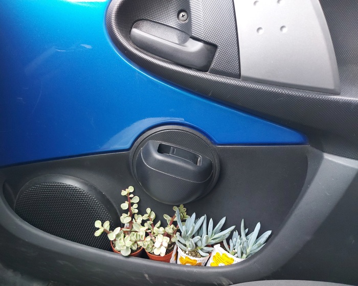 Oops!...I did it again