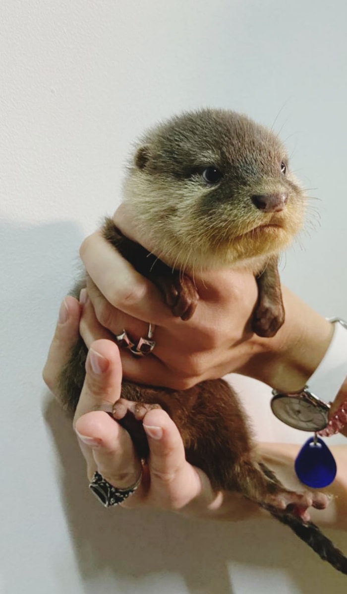 Положи где взял