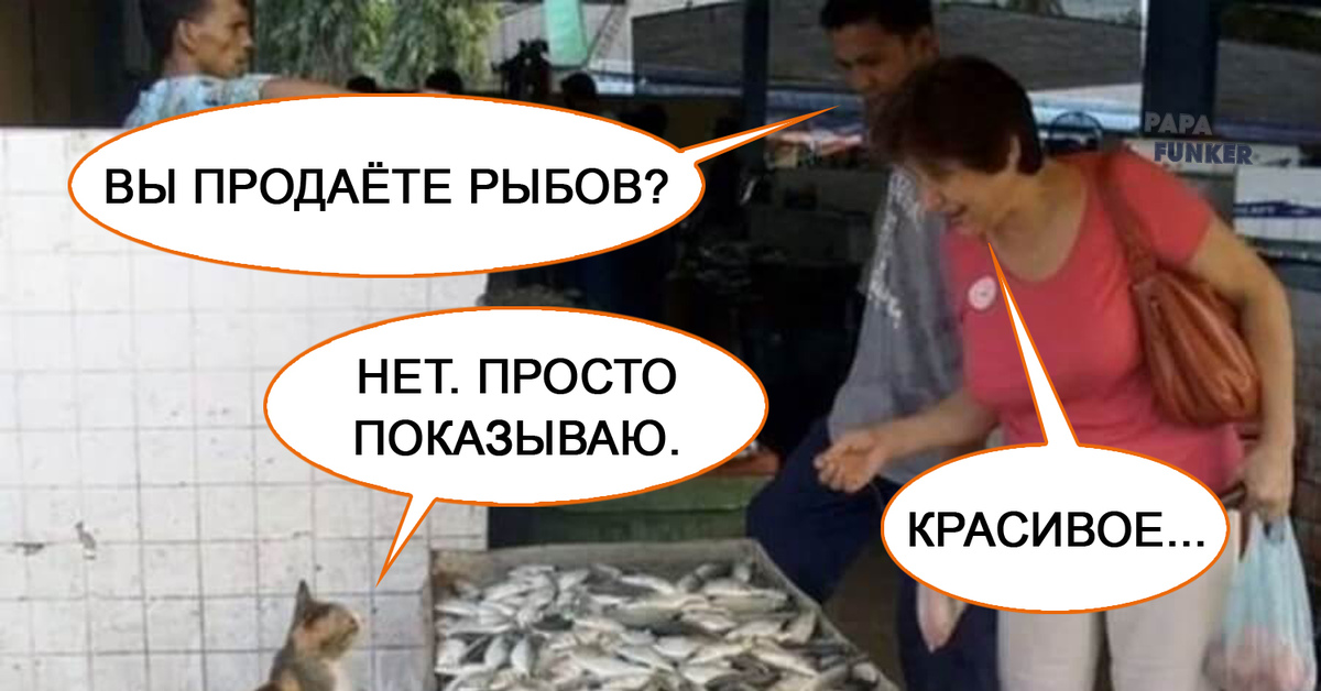 Пришла показать. Коты и рыба Мем. Мем с котами и рыбой. Мемы котики продаете рыбу. Рыбов продаете Мем.