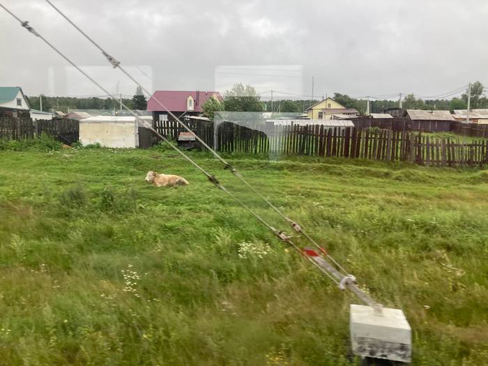 Электричка Москва-Владивосток. Пост 15. Слюдянка - Улан-Удэ Электричка, Поезд, Улан-Удэ, Бурятия, Путешествия, Россия, Длиннопост