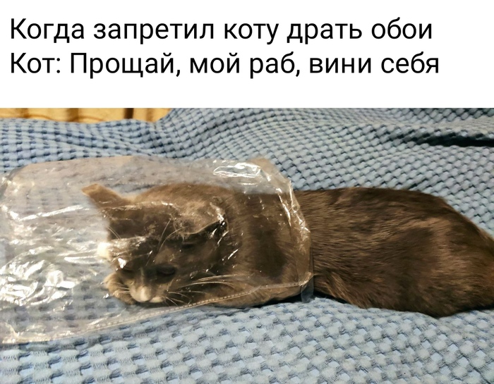 ��� �� �������� #2