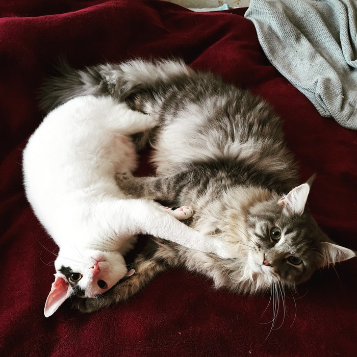 ������� �� ����� �����