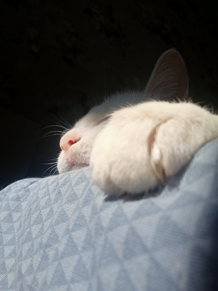   ,  , ,  , , 