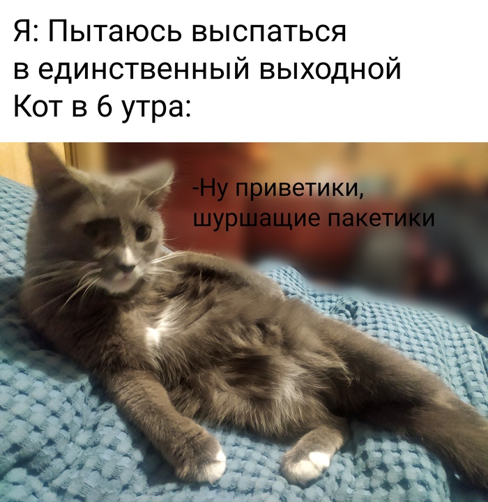 ��� �� ��������